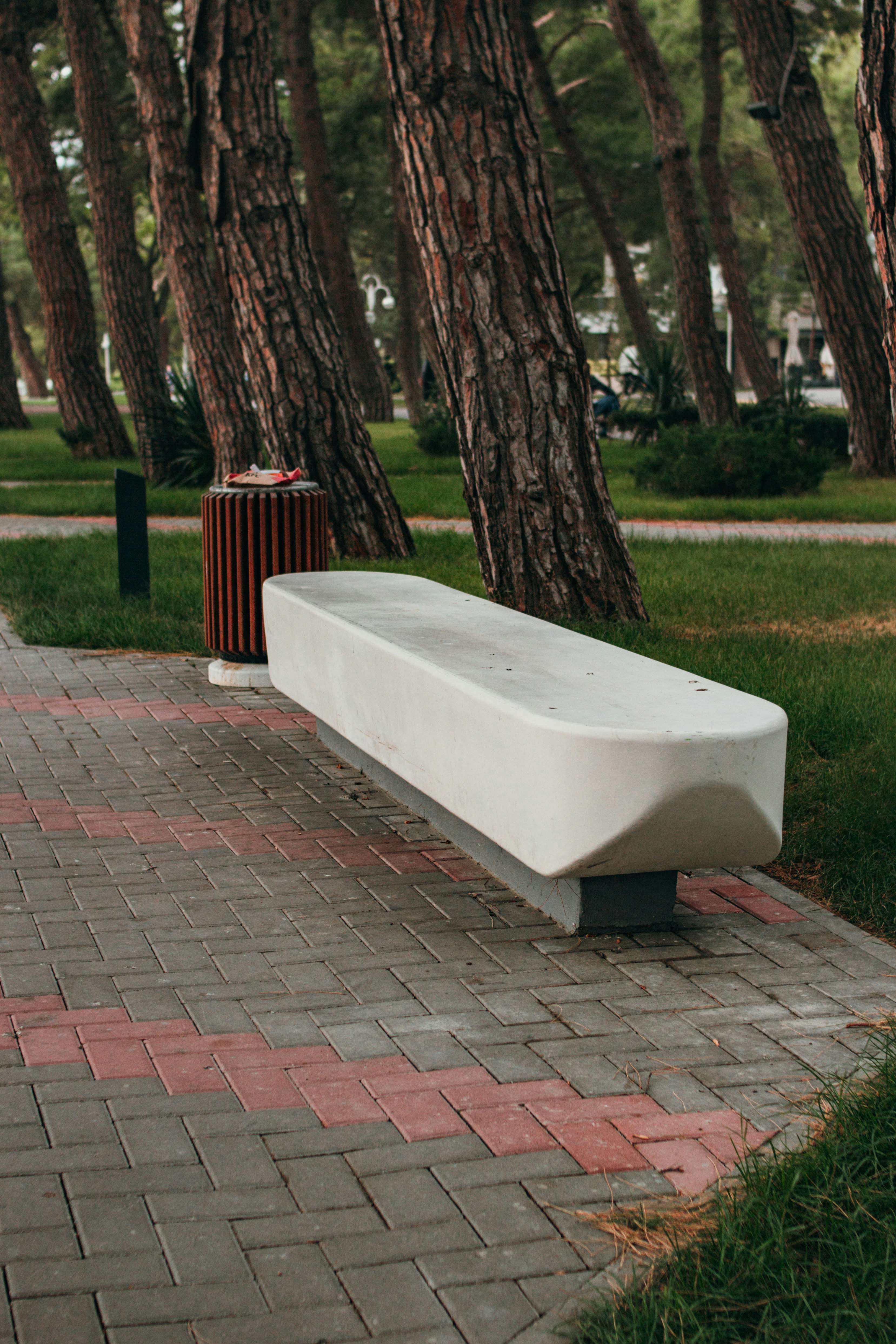 empty white bench near trash bin and tree